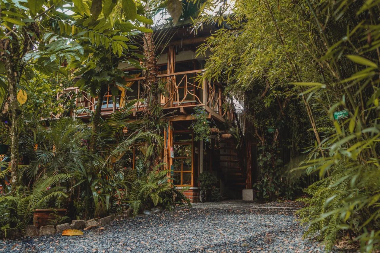 Hostal Las Palmas Puyo Exteriér fotografie