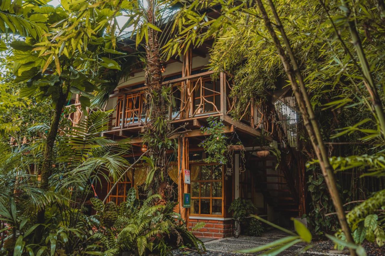 Hostal Las Palmas Puyo Exteriér fotografie
