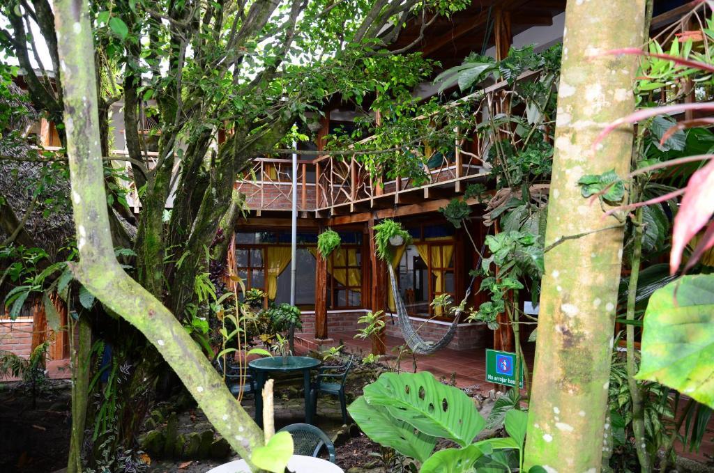 Hostal Las Palmas Puyo Exteriér fotografie
